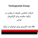 شرکت شخصی، لیمیتد یا سهامی در ترکیه؛ مقایسه برای کارآفرینان ایرانی