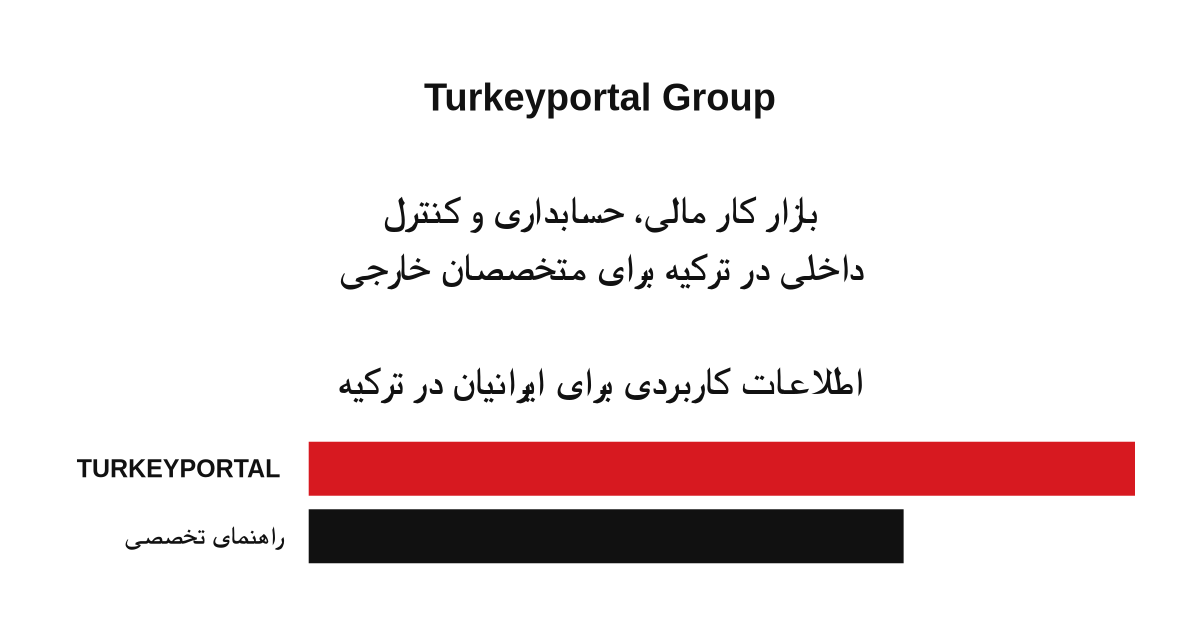 بازار کار مالی، حسابداری و کنترل داخلی در ترکیه برای متخصصان خارجی